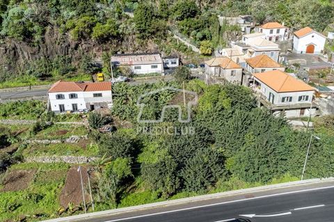 Helårsgrund i Ribeira Brava, Madeira, Ribeira Brava - € 80.000 | Ref: 11347-VG - foto 7