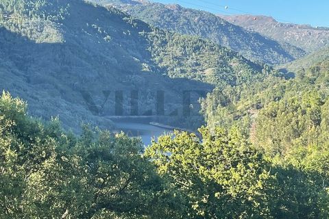 Helårsgrund i Paredes, Porto, Paredes - € 165.000 | Ref: VR-165-17 - foto 2