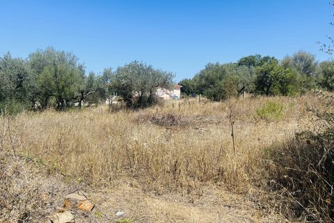 Helårsgrund i Budoni, Sassari, Budoni - € 90.000 | Ref: BD978 - foto 4