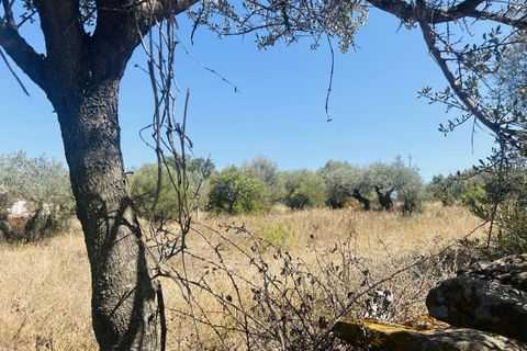 Helårsgrund i Budoni, Sassari, Budoni - € 90.000 | Ref: BD978 - foto 5