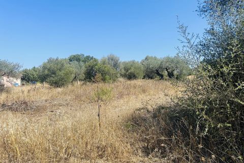 Helårsgrund i Budoni, Sassari, Budoni - € 90.000 | Ref: BD978 - foto 6