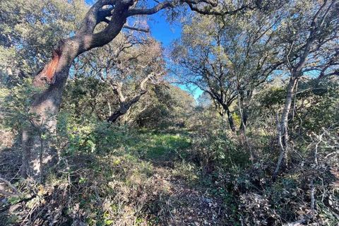 Terra a Telti, Olbia Tempio, Telti - € 270.000 | Ref: OL1043 - foto 2