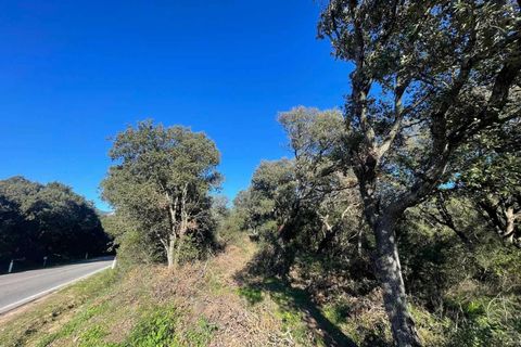 Terra a Telti, Olbia Tempio, Telti - € 270.000 | Ref: OL1043 - foto 3