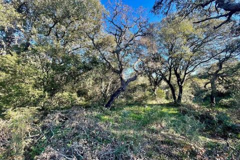 Terra a Telti, Olbia Tempio, Telti - € 270.000 | Ref: OL1043 - foto 6