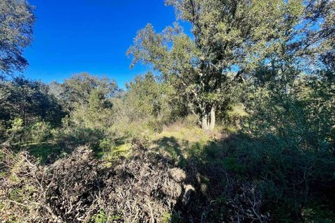 Terra a Telti, Olbia Tempio, Telti - € 270.000 | Ref: OL1043 - foto 7