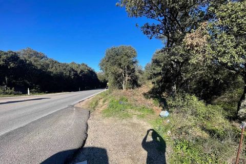 Terra a Telti, Olbia Tempio, Telti - € 270.000 | Ref: OL1043 - foto 8