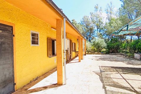 Landejendom i Berchidda, Sassari, Berchidda - € 115.000 | Ref: OL940 - foto 2