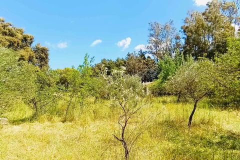 Landejendom i Berchidda, Sassari, Berchidda - € 115.000 | Ref: OL940 - foto 10