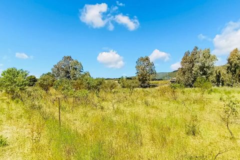 Landejendom i Berchidda, Sassari, Berchidda - € 115.000 | Ref: OL940 - foto 11