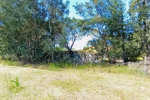 Landejendom i Berchidda, Sassari, Berchidda - € 115.000 | Ref: OL940 - foto 12