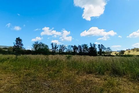 Landejendom i Berchidda, Sassari, Berchidda - € 115.000 | Ref: OL940 - foto 13