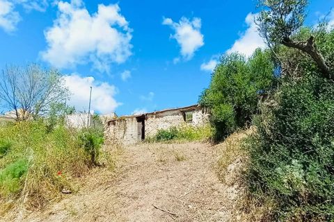 Helårsgrund i Berchidda, Sassari, Berchidda - € 89.000 | Ref: OL941 - foto 2