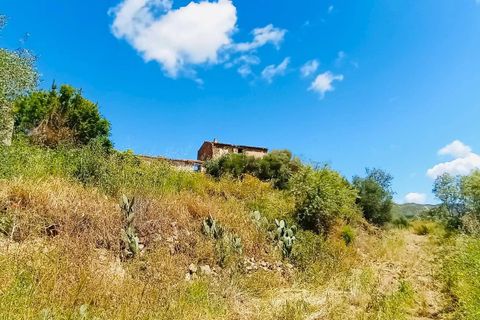 Helårsgrund i Berchidda, Sassari, Berchidda - € 89.000 | Ref: OL941 - foto 6