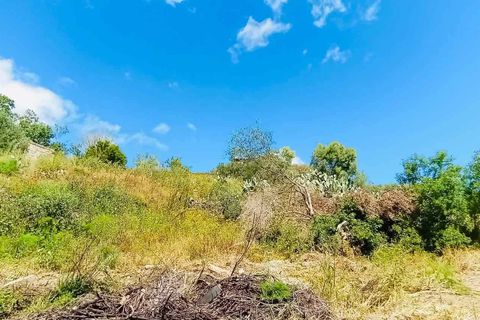 Helårsgrund i Berchidda, Sassari, Berchidda - € 89.000 | Ref: OL941 - foto 8