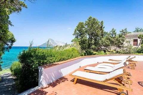 Villa i San Teodoro, Sassari, San Teodoro - € 3.000.000 | Ref: CG945 - foto 6