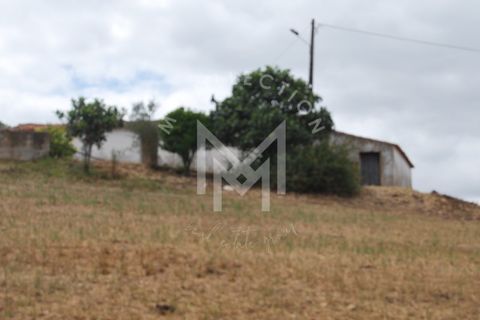 Farm i Silves, Faro, Silves - € 149.000 | Ref: MAS_10 - foto 10