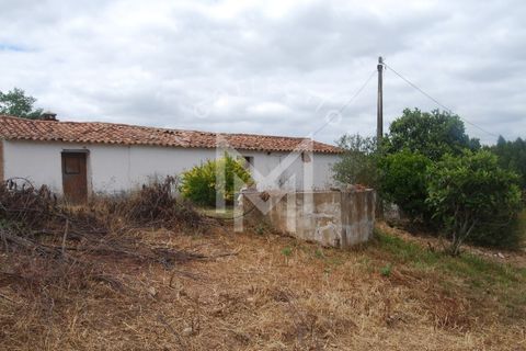 Farm i Silves, Faro, Silves - € 149.000 | Ref: MAS_10 - foto 11