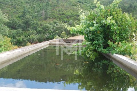 Farm i Silves, Faro, Silves - € 149.000 | Ref: MAS_10 - foto 12