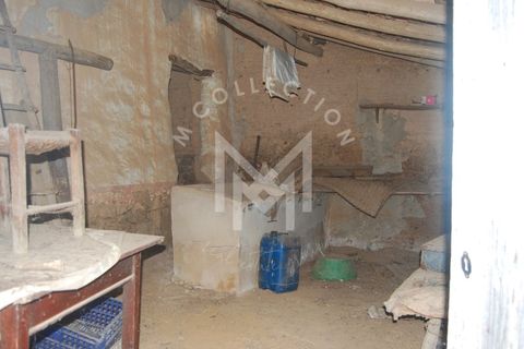 Farm i Silves, Faro, Silves - € 149.000 | Ref: MAS_10 - foto 14