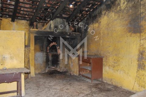 Farm i Silves, Faro, Silves - € 149.000 | Ref: MAS_10 - foto 17