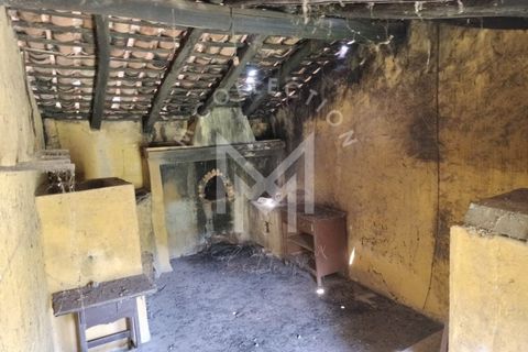 Farm i Silves, Faro, Silves - € 149.000 | Ref: MAS_10 - foto 19