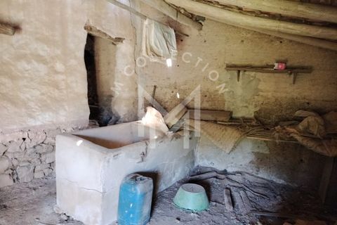 Farm i Silves, Faro, Silves - € 149.000 | Ref: MAS_10 - foto 20