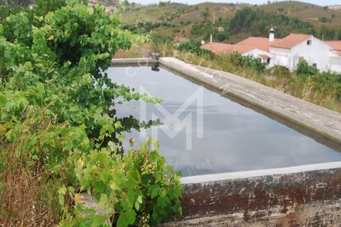 Farm i Silves, Faro, Silves - € 149.000 | Ref: MAS_10 - foto 21