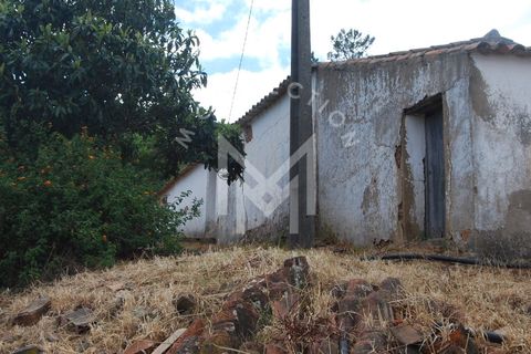 Farm i Silves, Faro, Silves - € 149.000 | Ref: MAS_10 - foto 22