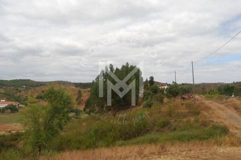 Farm i Silves, Faro, Silves - € 149.000 | Ref: MAS_10 - foto 23