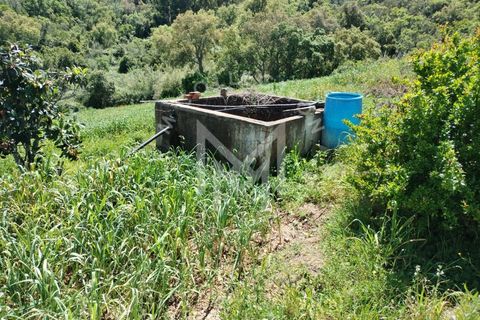 Farm i Silves, Faro, Silves - € 149.000 | Ref: MAS_10 - foto 24