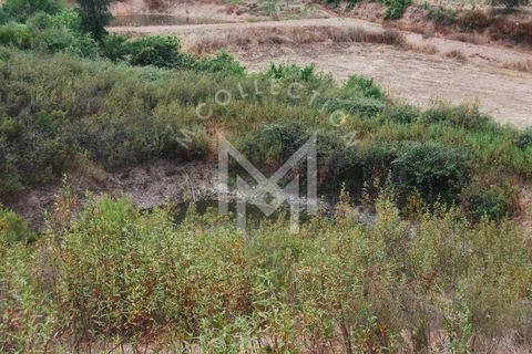 Farm i Silves, Faro, Silves - € 149.000 | Ref: MAS_10 - foto 25