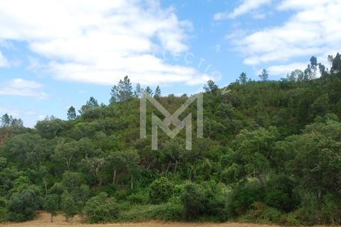 Farm i Silves, Faro, Silves - € 149.000 | Ref: MAS_10 - foto 27