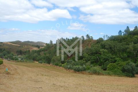 Farm i Silves, Faro, Silves - € 149.000 | Ref: MAS_10 - foto 29