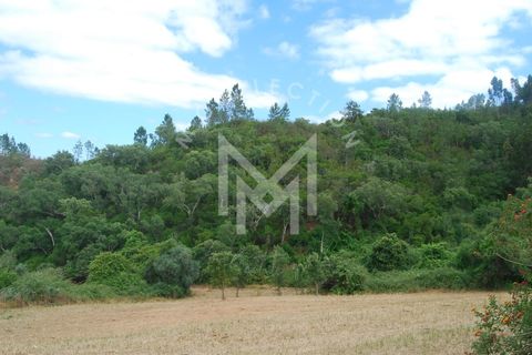 Farm i Silves, Faro, Silves - € 149.000 | Ref: MAS_10 - foto 30