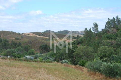 Farm i Silves, Faro, Silves - € 149.000 | Ref: MAS_10 - foto 31