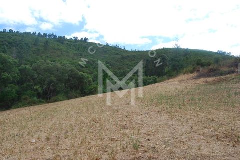 Farm i Silves, Faro, Silves - € 149.000 | Ref: MAS_10 - foto 32