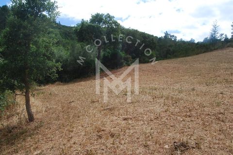 Farm i Silves, Faro, Silves - € 149.000 | Ref: MAS_10 - foto 36
