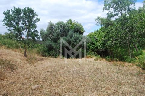 Farm i Silves, Faro, Silves - € 149.000 | Ref: MAS_10 - foto 37