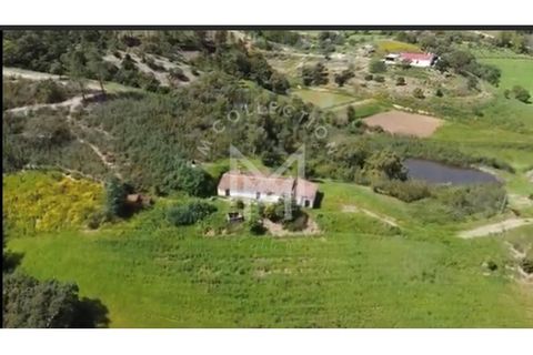 Farm i Silves, Faro, Silves - € 149.000 | Ref: MAS_10 - foto 3