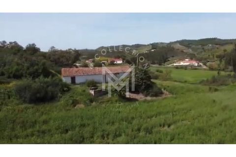 Farm i Silves, Faro, Silves - € 149.000 | Ref: MAS_10 - foto 5