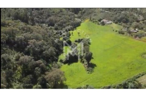 Farm i Silves, Faro, Silves - € 149.000 | Ref: MAS_10 - foto 7