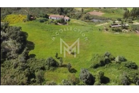 Farm i Silves, Faro, Silves - € 149.000 | Ref: MAS_10 - foto 8