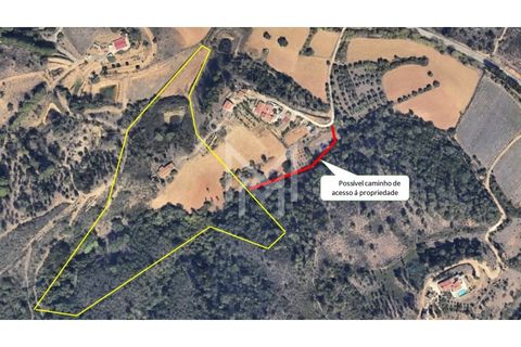 Farm i Silves, Faro, Silves - € 149.000 | Ref: MAS_10 - foto 2