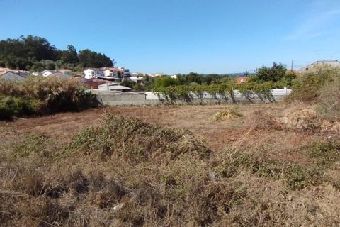 Helårsgrund i Coimbra, Coimbra, Coimbra - € 115.000 | Ref: C0462-00162 - foto 4