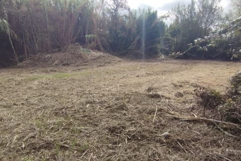 Helårsgrund i Coimbra, Coimbra, Coimbra - € 115.000 | Ref: C0462-00162 - foto 10