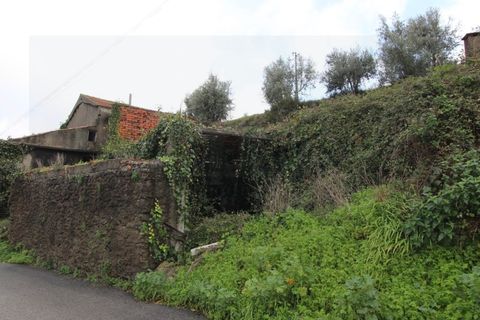 Landejendom i Lousa, Coimbra, Lousa - € 80.000 | Ref: 2442 MR - foto 5