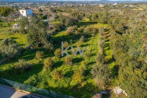 Villa i Alcantarilha, Faro, Alcantarilha - € 750.000 | Ref: KWPT-010827 - foto 32