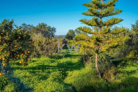 Villa i Alcantarilha, Faro, Alcantarilha - € 750.000 | Ref: KWPT-010827 - foto 6