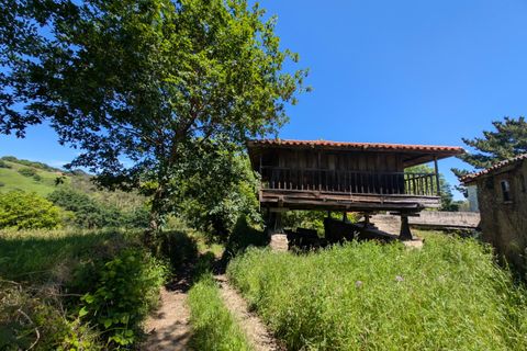 Villa a Salas, Asturias, Salas - € 70.000 | Ref: QPE00335/10606 - foto 9
