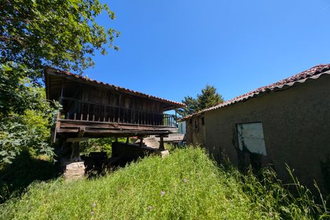 Villa a Salas, Asturias, Salas - € 70.000 | Ref: QPE00335/10606 - foto 28